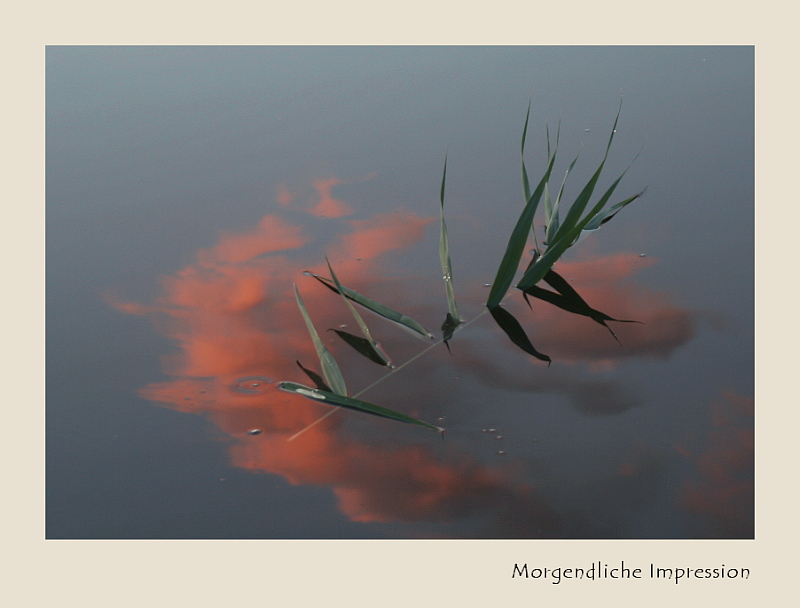 Morgendliche Impression