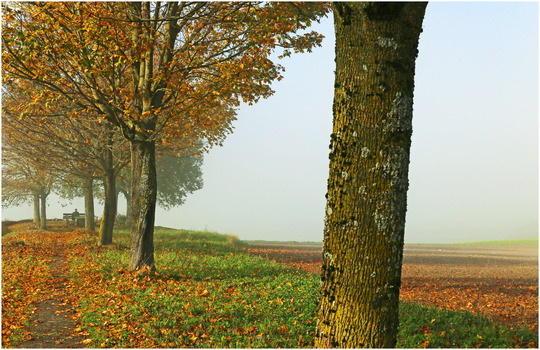 Kurze Rast