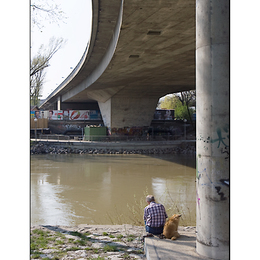 Sinnlose Bilder Nr. 12