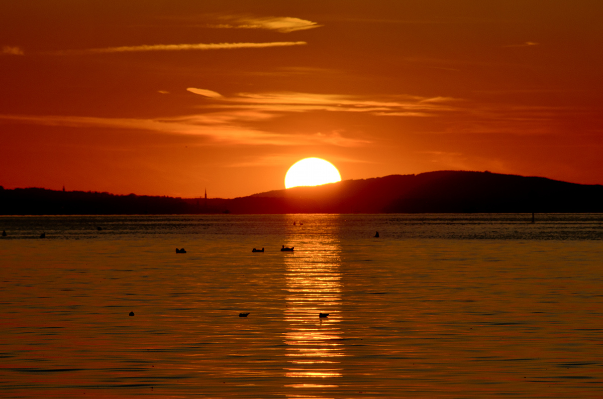 sunset
