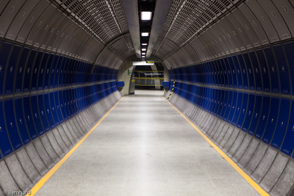in the tube