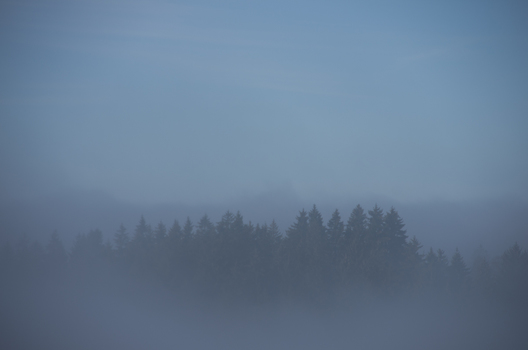 Nebelmeer
