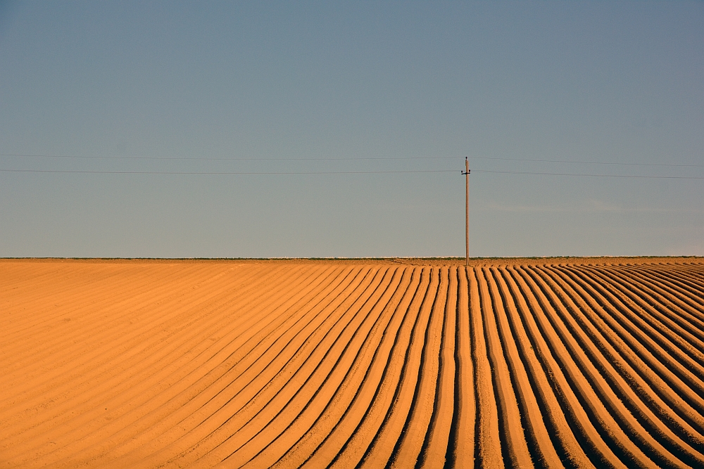 Linienführung