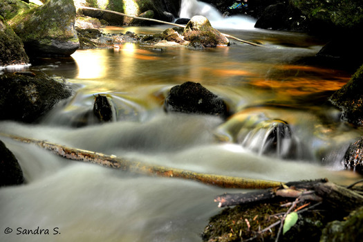 Ysperklamm