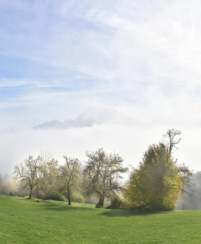 Nebel im Tal