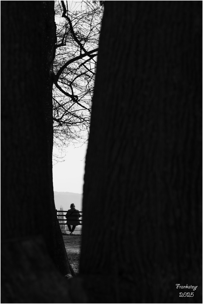 ohne Titel