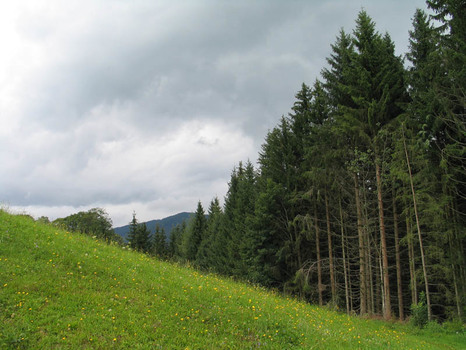 dreigeteilt