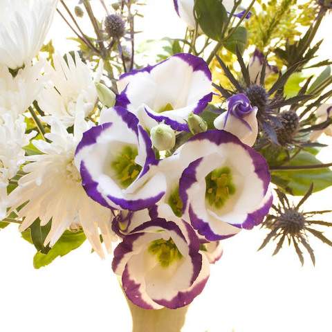 Blumen