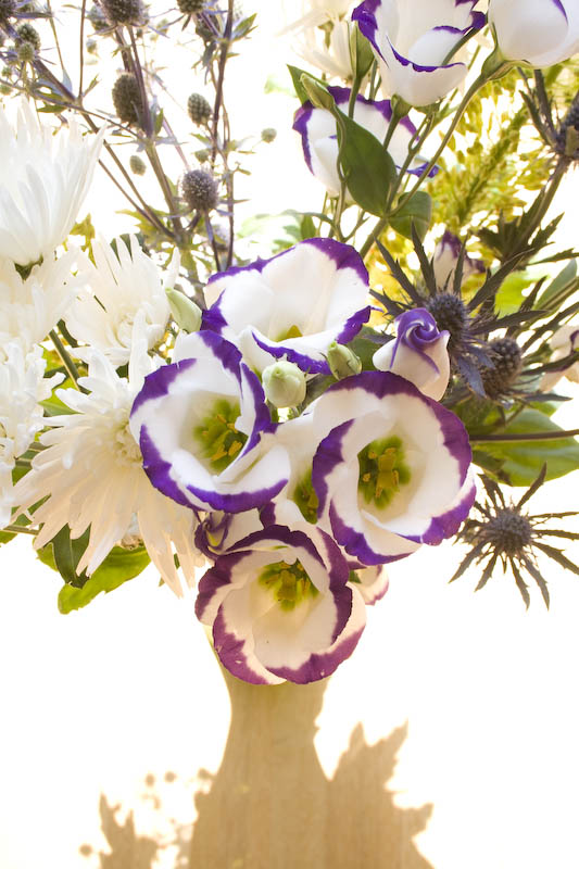 Blumen