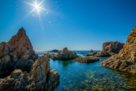 Capo Pecora