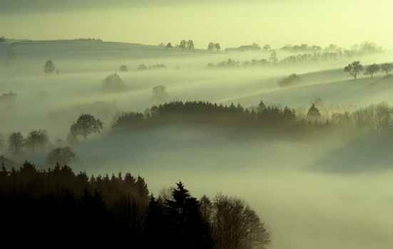Nebellandschaft IV