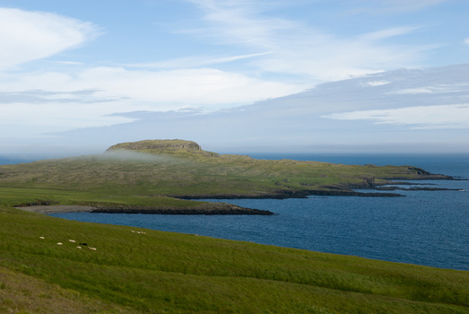 Ostküste in Island
