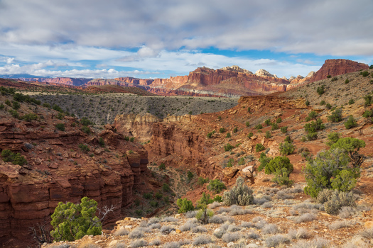 Capitol Reef Nationalpark XIII