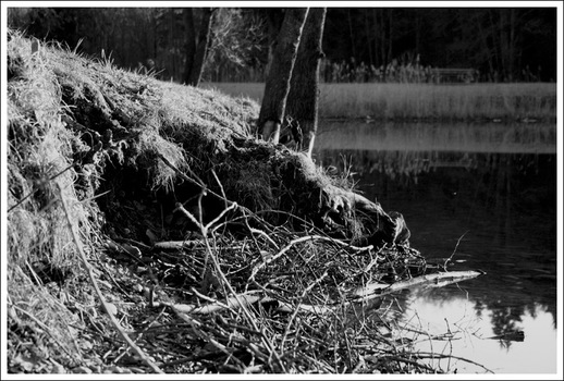 Licht und Schatten