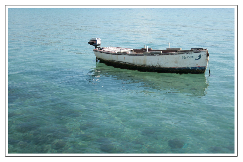 boot + meer