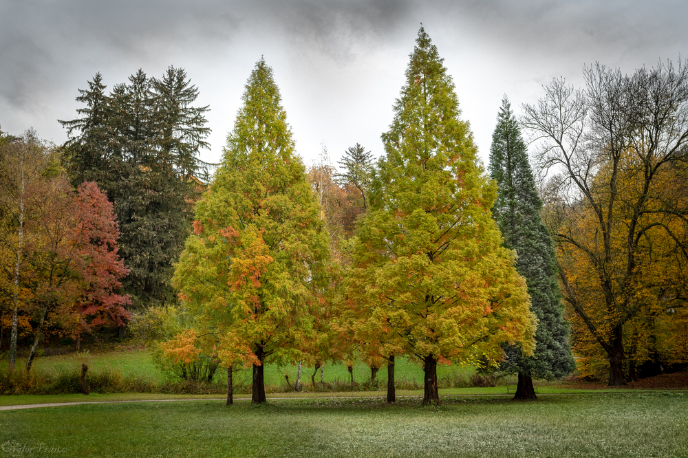 Im Matzenpark