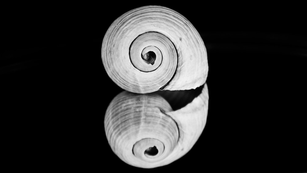 Symmetrien und Muster​