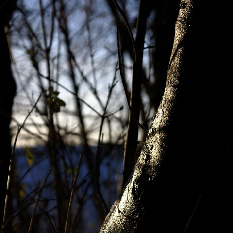 Ein Hauch Licht