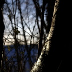 Ein Hauch Licht