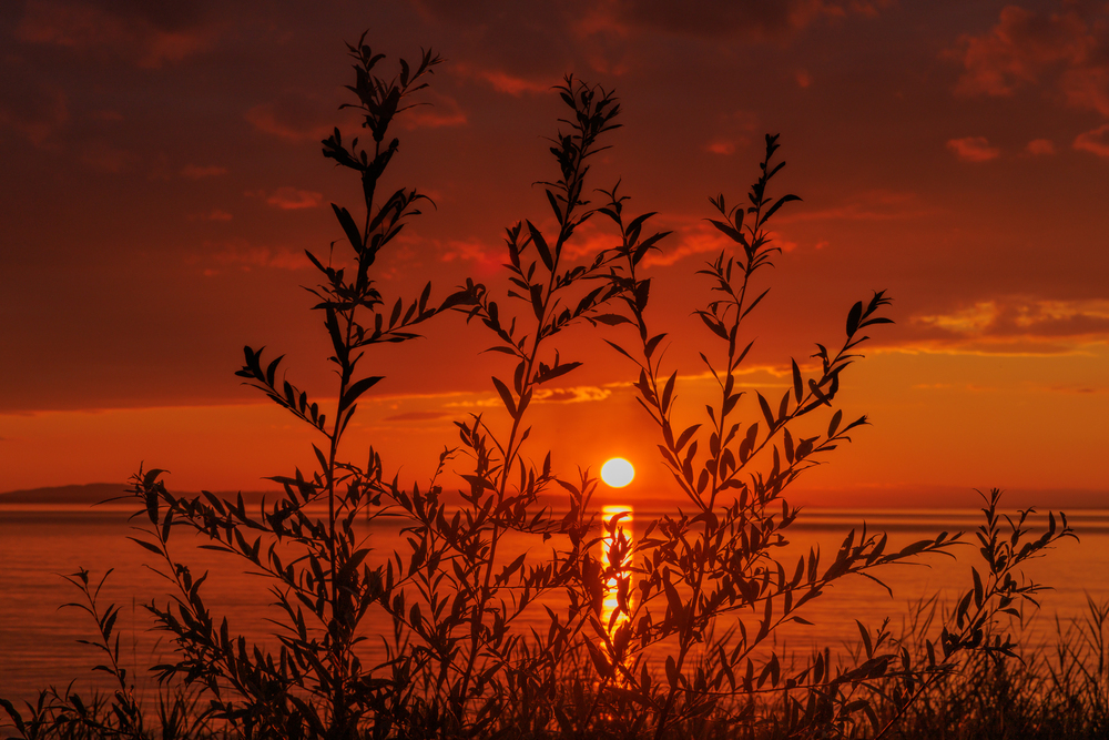 Abend am Bodensee 2