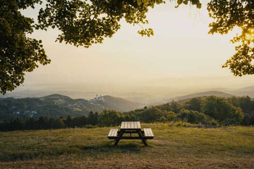 eine Bank mit Aussicht
