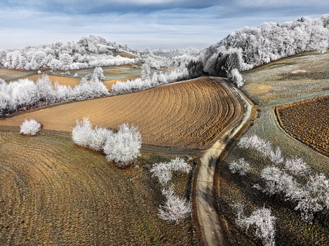 Braune Äcker und schneeweiße Bäume