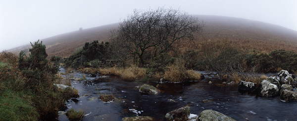 Dartmoor im Nebel