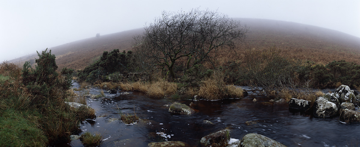 Dartmoor im Nebel