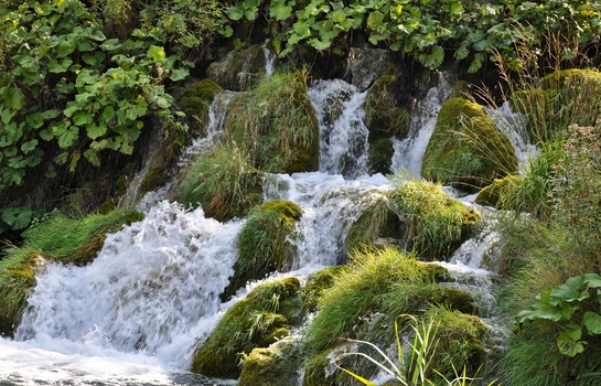 Wiesen-Wasserfall - Plitvicer Seen Kroatien