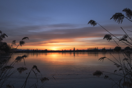 Spaziergang am Teich 2