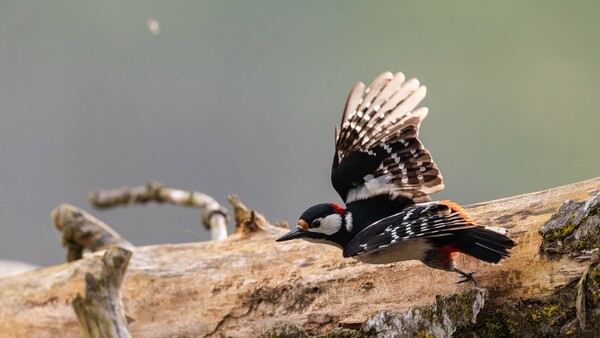 Und Abflug