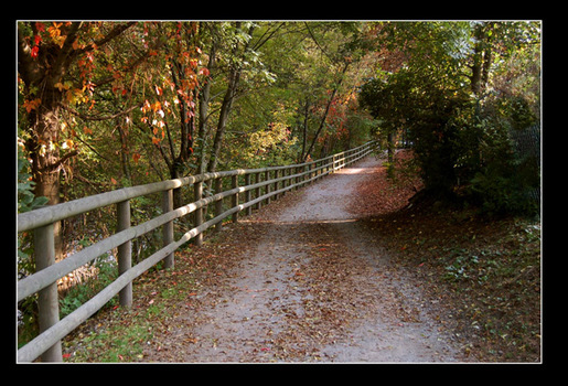Herbst - Zeit