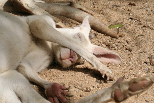Just Relaxing ...