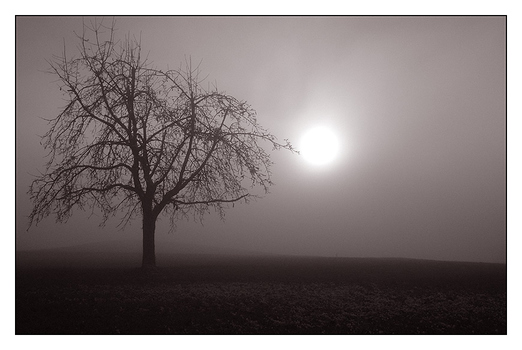 [im nebel wandelnd]