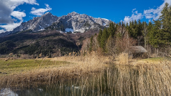 erstes Grün