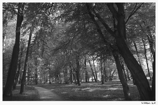 im Park....
