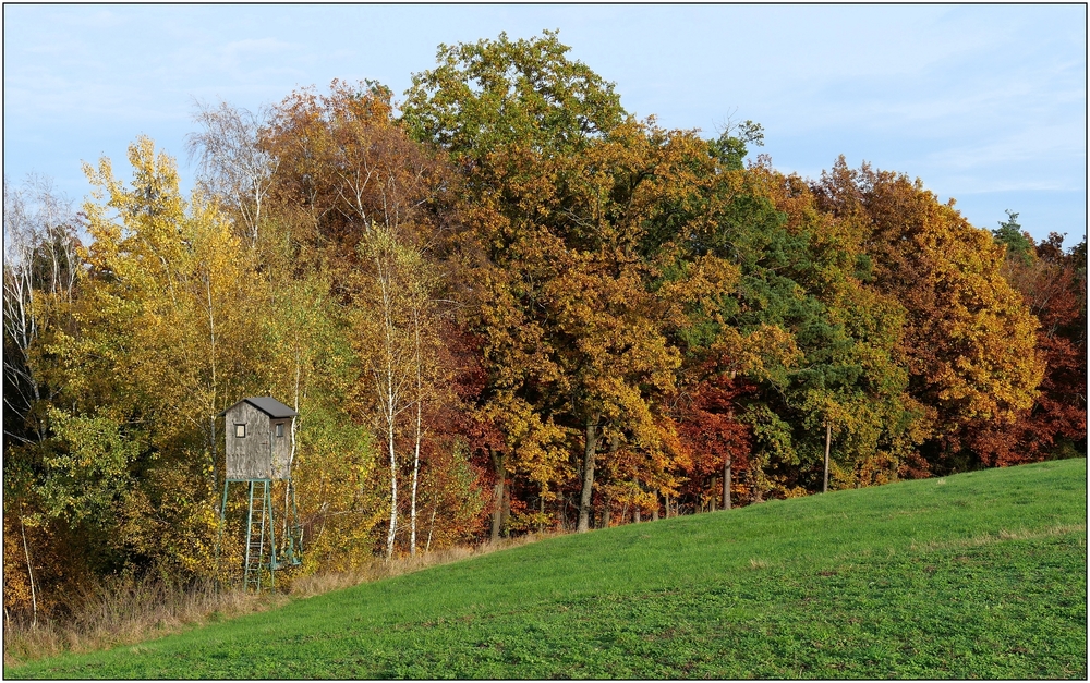Herbstwald