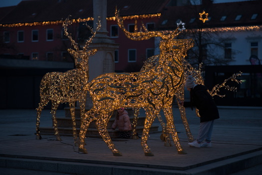 Weihnachtsbeleuchtung