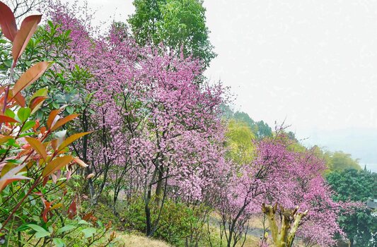 Frühling zieht ins Land