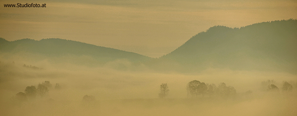 Nebel in Fladnitz