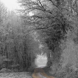 der Weg
