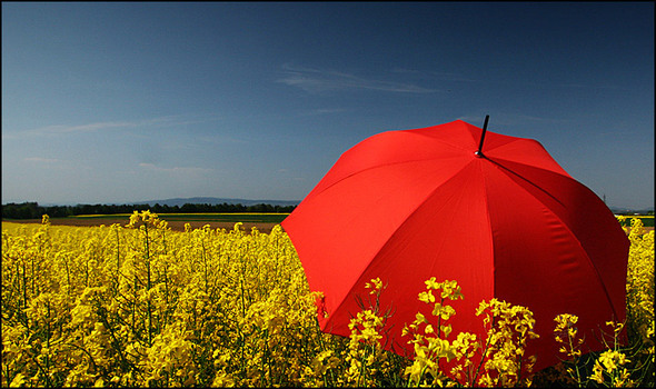 ROT-GELB-BLAU