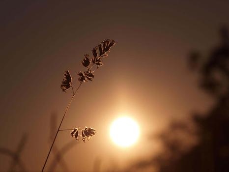 Sonnentuntergang 1