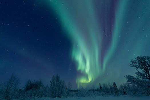 Aurora Borealis