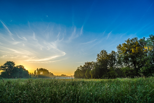 Sonnenaufgang im Machland