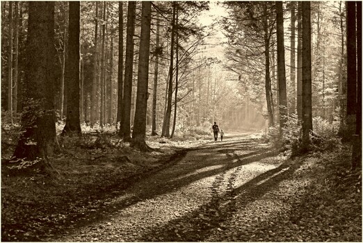 Mit Papa im Wald