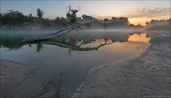 Lobau #5