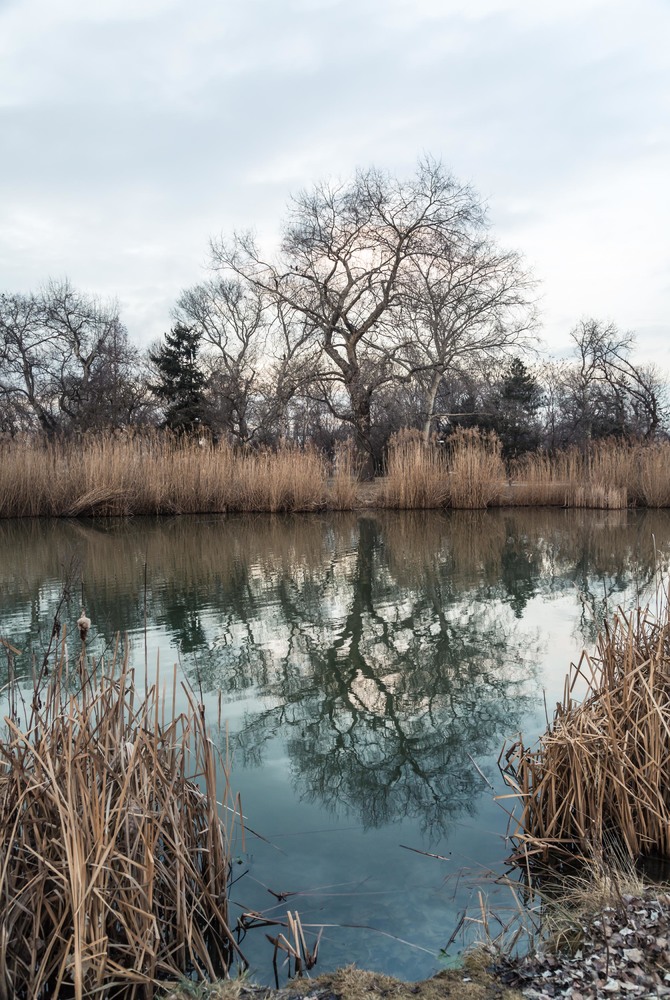 " Donaupark " IV
