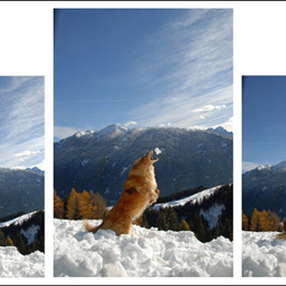 nicht nur kinder lieben schnee
