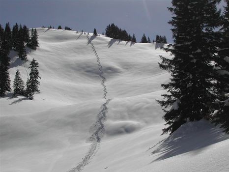 einsame skispuren